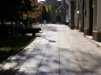 Az én Kiskunhalasom